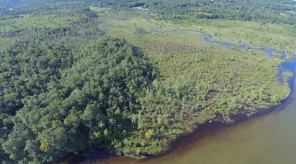 tioga-marsh - Five Rivers Conservation Trust